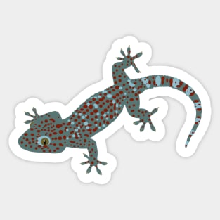 Tokay Gecko Sticker